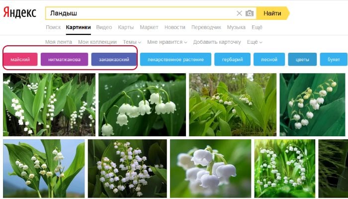 Filtre pentru căutarea imaginilor Yandex
