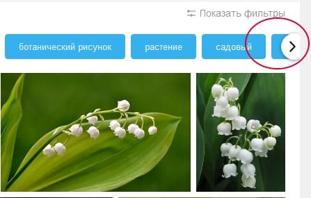 Săgeată pentru a afișa alte filtre în Yandex