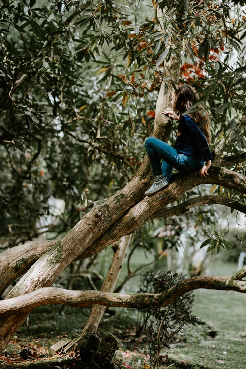Idei foto de toamnă pentru instagram - o fată pe un copac