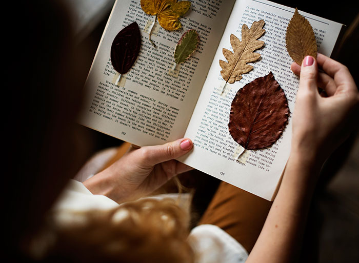 Idei foto de toamnă pentru Instagram - frunze uscate într-o carte